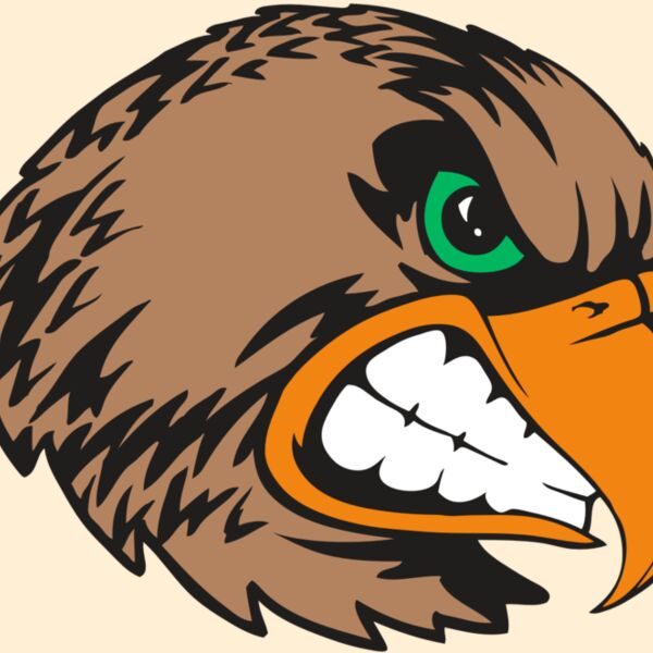 BAW HWK FLCN 09 RC Thumbnail