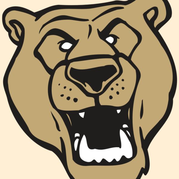 AR BEAR 13 RC Thumbnail