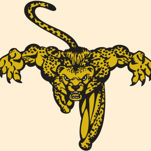 BAW CHEETAH 08 RC Thumbnail