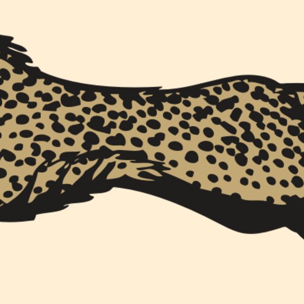 BAW CHEETAH 01 RC Thumbnail