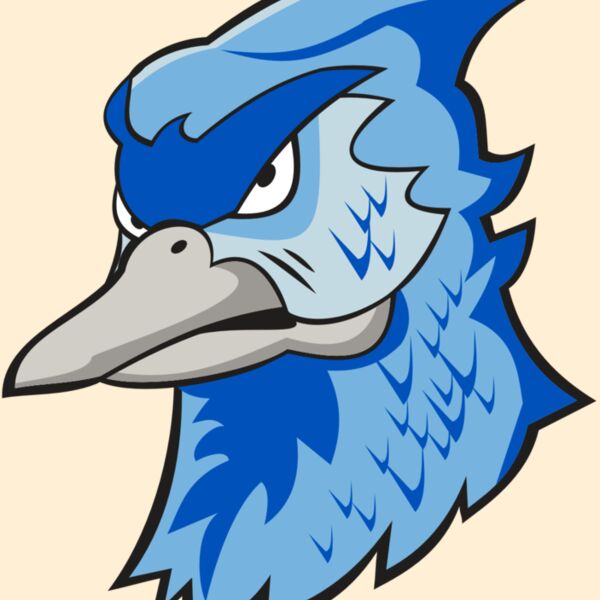 BLUEJAY HD0501 RQC Thumbnail