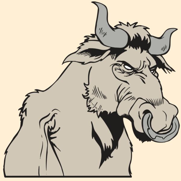 AR5 BULL 08 RQC Thumbnail