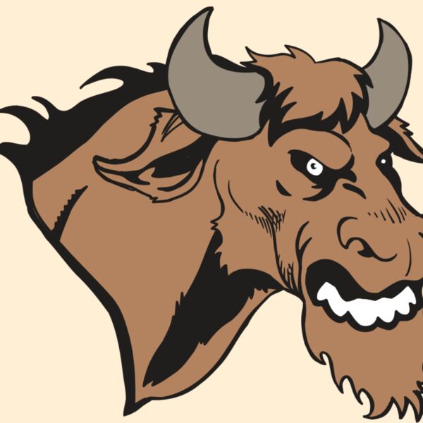 AR5 BULL 09 RQC Thumbnail