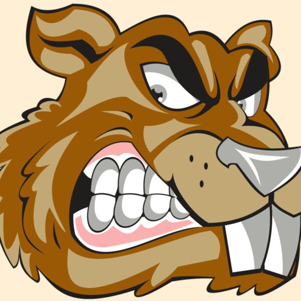 BEAVER HD0503 RQC Thumbnail