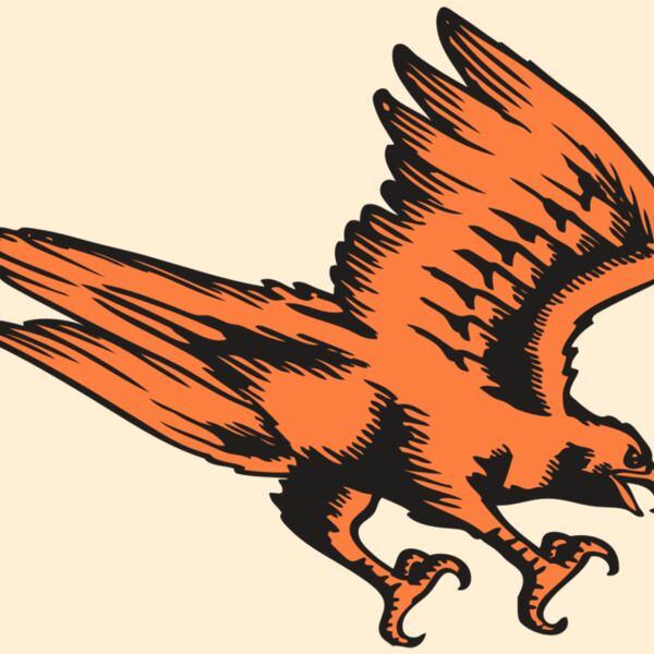 BAW HWK FLCN 04 RC Thumbnail