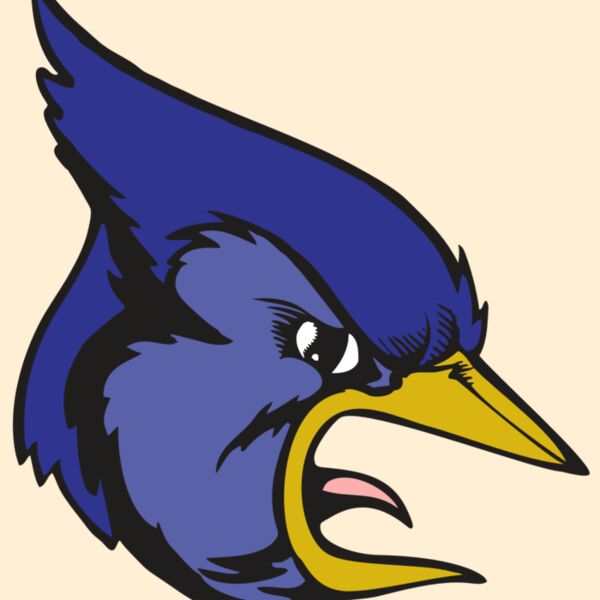 BAW BLUEJAY 04 RC Thumbnail