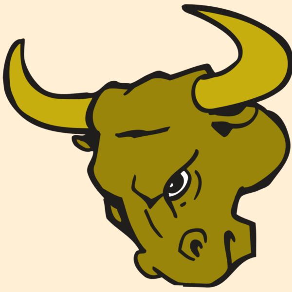 AR BULL 26 RC Thumbnail