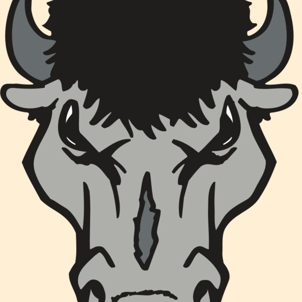 AR BUFFALO 15 RC Thumbnail