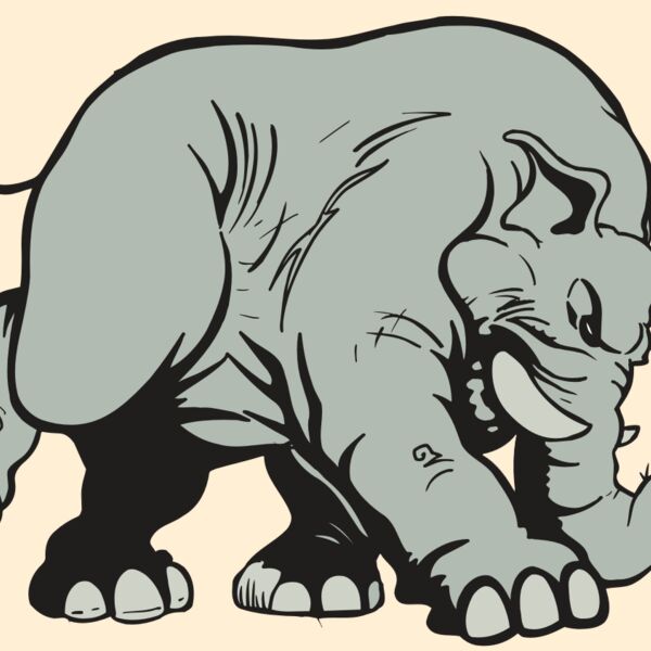 AR5 Elephant 08 RQC Thumbnail