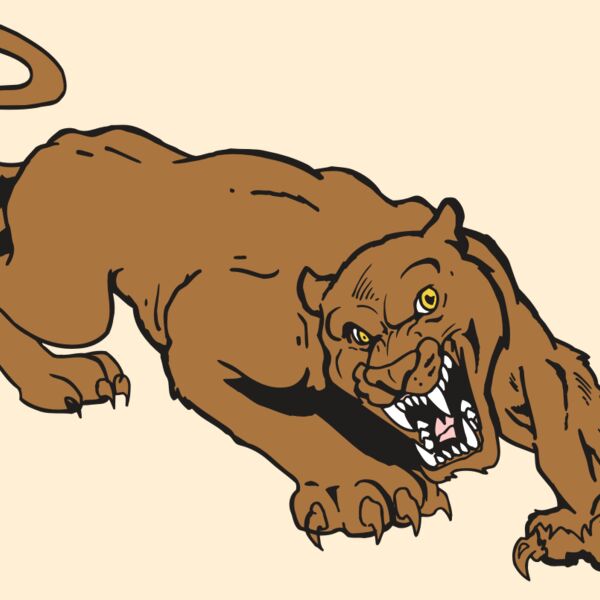 AR5 COUGAR 41 RQC Thumbnail