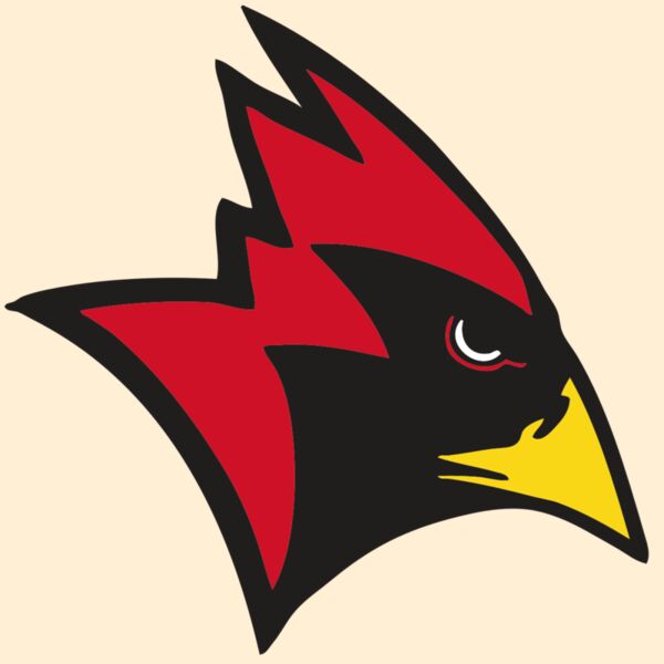 AR CARDINAL 23 RC Thumbnail