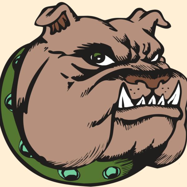 BAW BULLDOG 14 RC Thumbnail