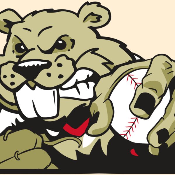 AR4 BEAVER 06 RQC Thumbnail