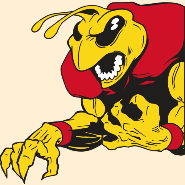 AR5 BEE 28 RQC Thumbnail