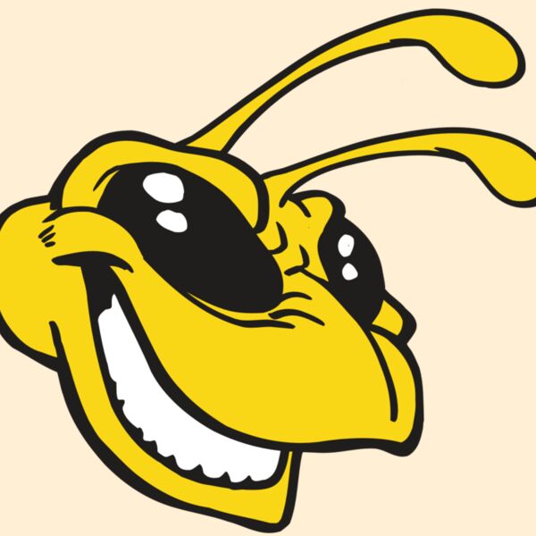 AR5 BEE 24 RQC Thumbnail