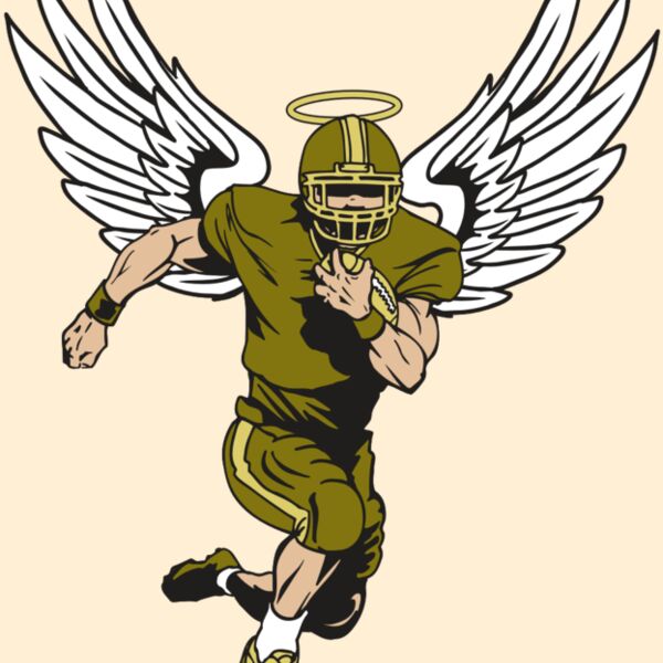 AR17 ANGEL FBLL 01 RQC Thumbnail