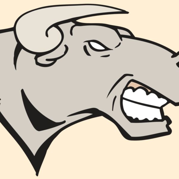 AR BULL 18 RC Thumbnail