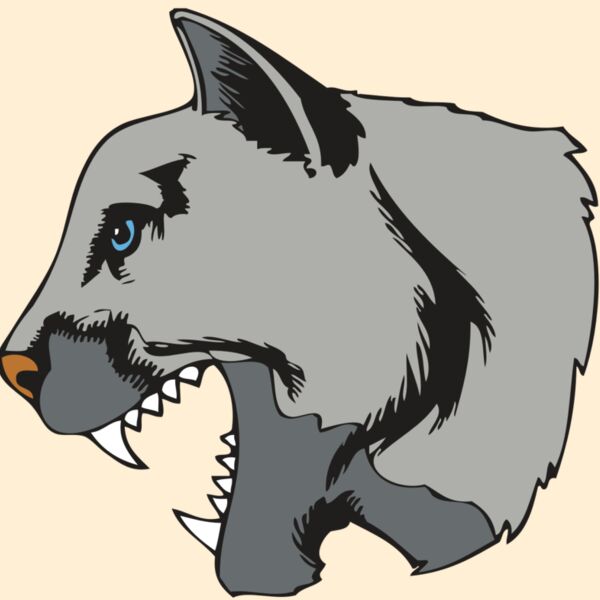 BAW COUG PANTH 15 R Thumbnail