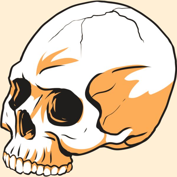 AR24 SKULL 13 RQC Thumbnail