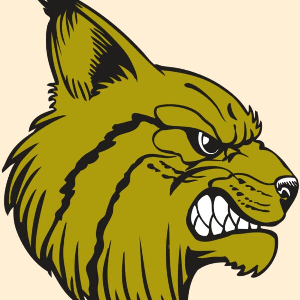 BAW BOBCAT 16 RC Thumbnail