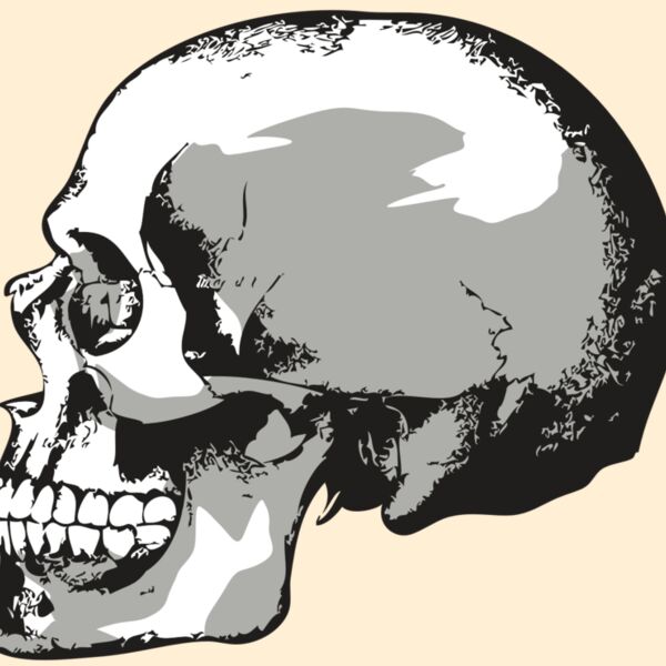 AR24 SKULL 02 RQC Thumbnail