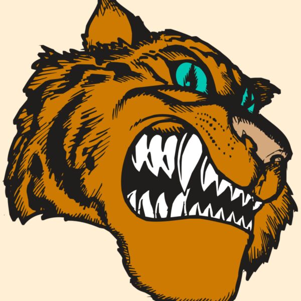 BAW TIGER 11 RC Thumbnail