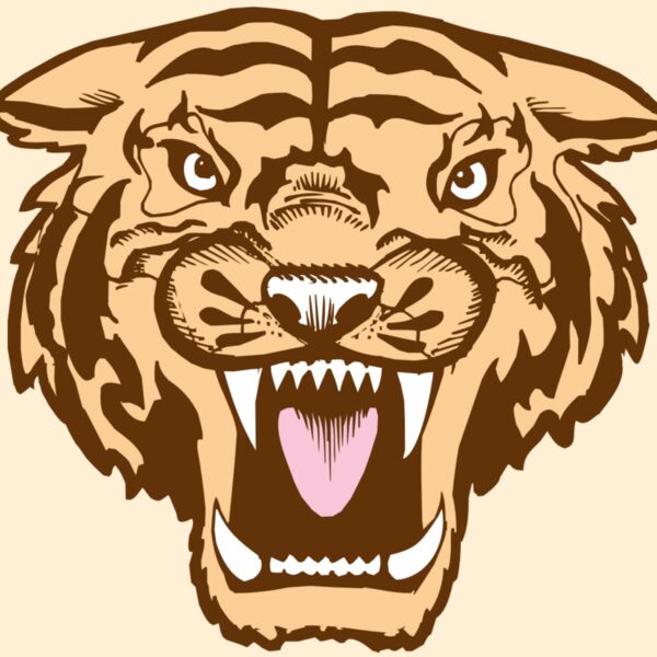 BAW TIGER 05 RC Thumbnail