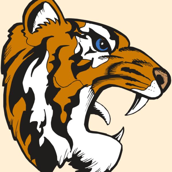 BAW TIGER 08 RC Thumbnail