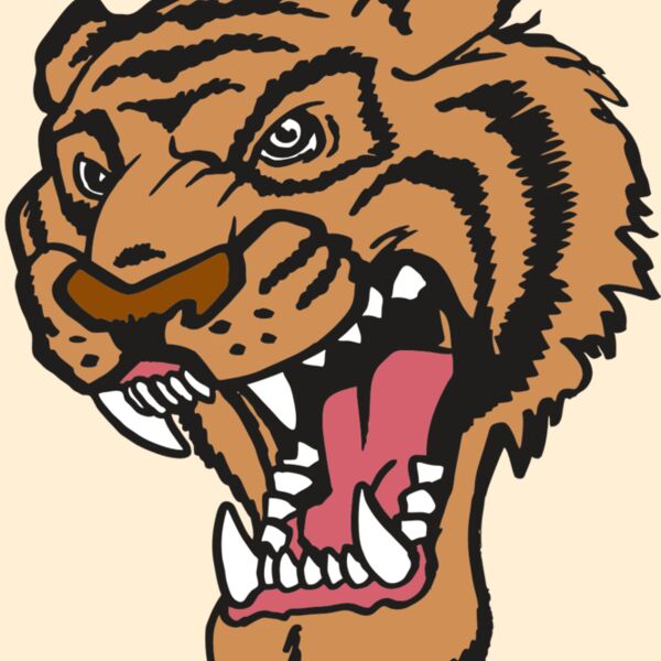 AR TIGER 12 RC Thumbnail