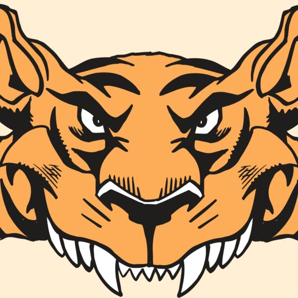 AR5 Tiger 07 RQC Thumbnail