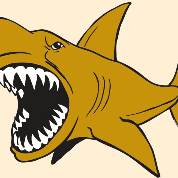 AR  SHARK 21 RC Thumbnail