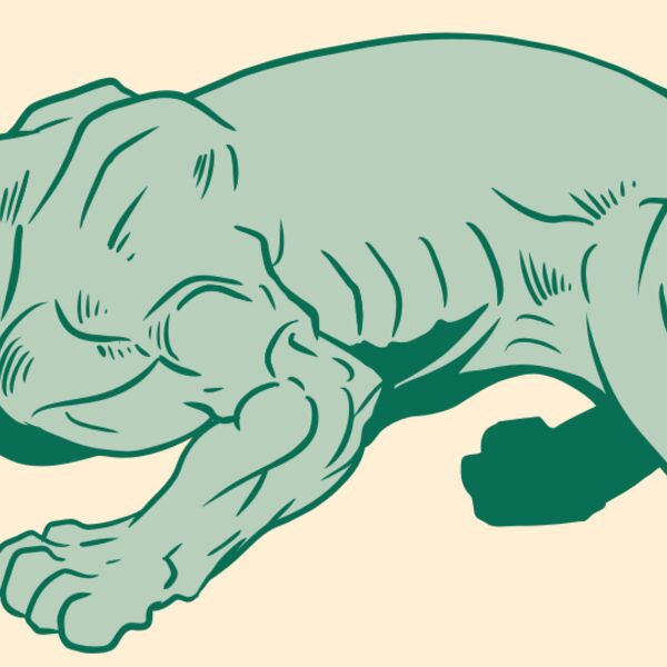 AR10 PANTHER 05 RQC Thumbnail