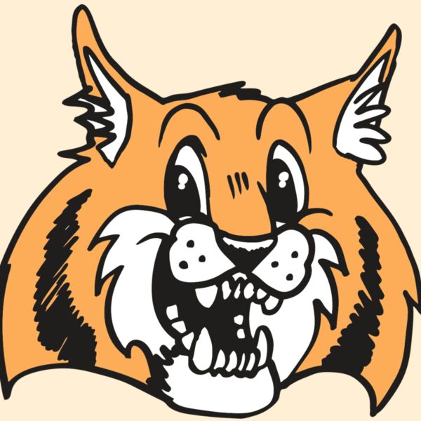 AR WILDCAT 13 RC Thumbnail