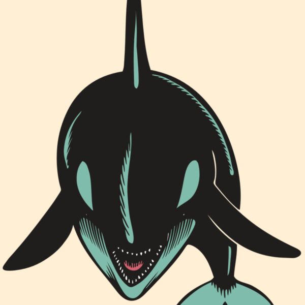 BAW KLRWHALE 03 RC Thumbnail