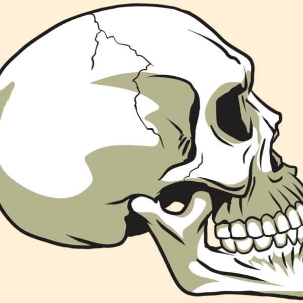 AR24 SKULL 12 RQC Thumbnail