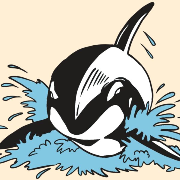 AR19 ORCA 01 RQC Thumbnail