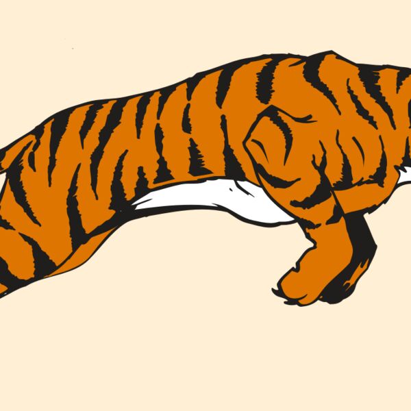 AR TIGER 79 RC Thumbnail