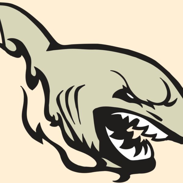 AR5 Shark 08 RQC Thumbnail