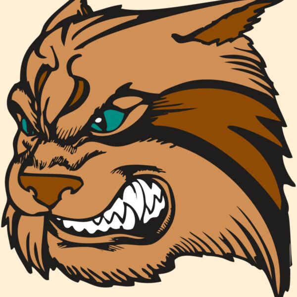 BAW WILDCAT 05 RC Thumbnail