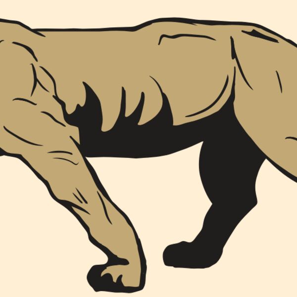 AR10 PANTHER 04 RQC Thumbnail