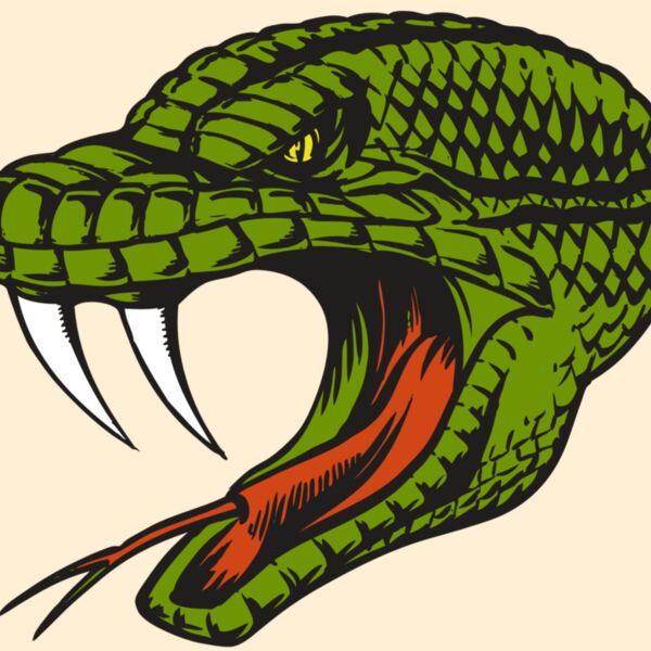 BAW SNAKE 14 RC Thumbnail