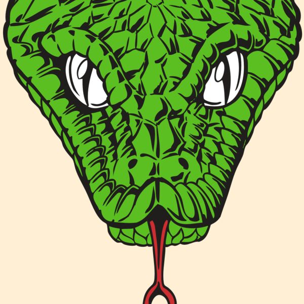 BAW SNAKE 08 RC Thumbnail