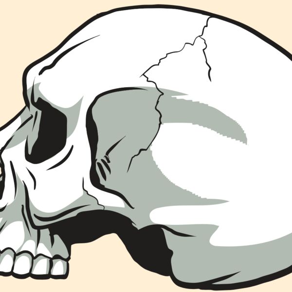 AR24 SKULL 11 RQC Thumbnail