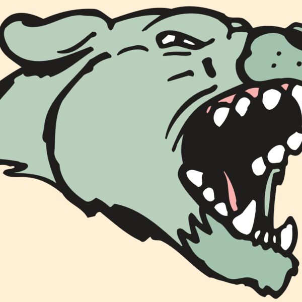 AR5 COUGAR 33 RQC Thumbnail