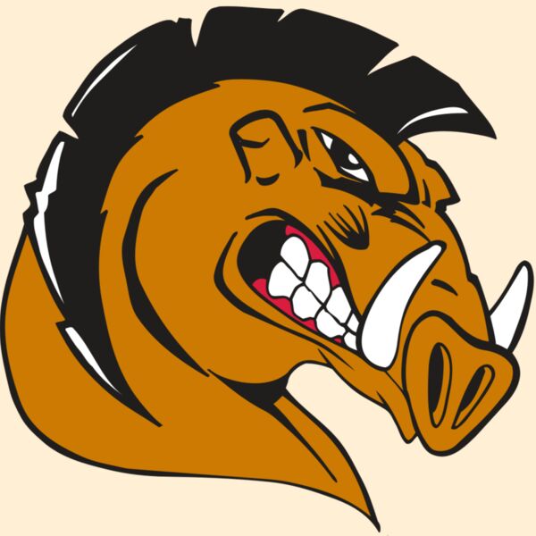 AR RAZORBACK 19 RC Thumbnail