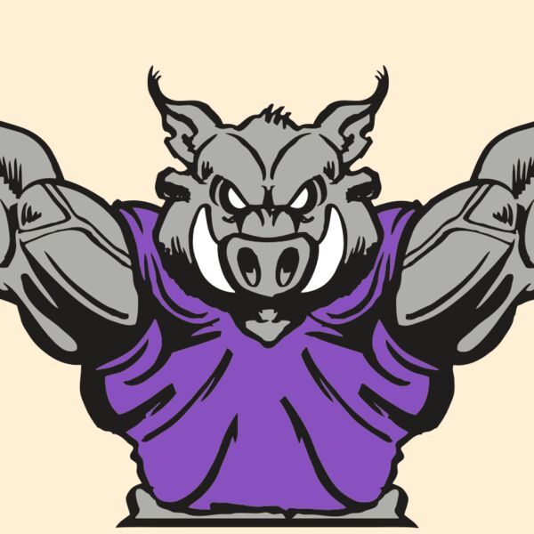 AR RAZORBACK 10 RC Thumbnail