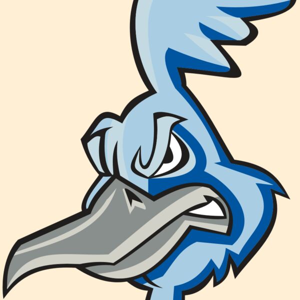 ROADRUNNER HD0501 RQC Thumbnail