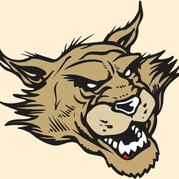 AR WILDCAT 39 RC Thumbnail