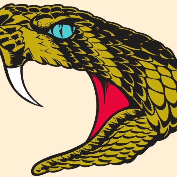 BAW SNAKE 16 RC Thumbnail