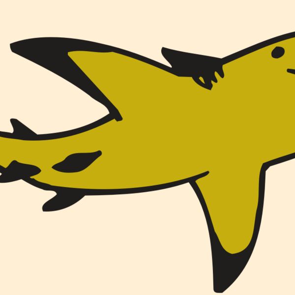 AR  SHARK 32 RC Thumbnail